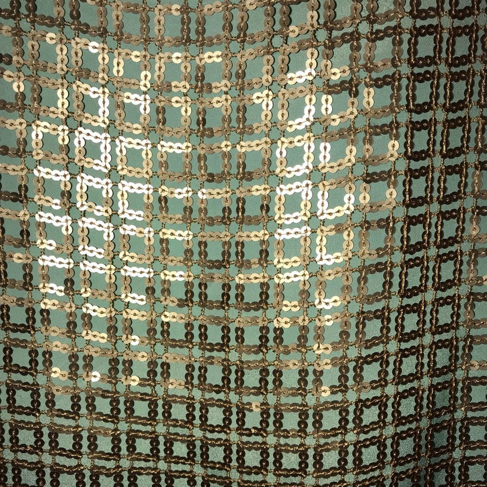 NWT Anthropologie Golden Pane Shift Dress - Picture 3 of 7